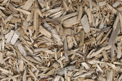 biomass boilers Myddyn Fych